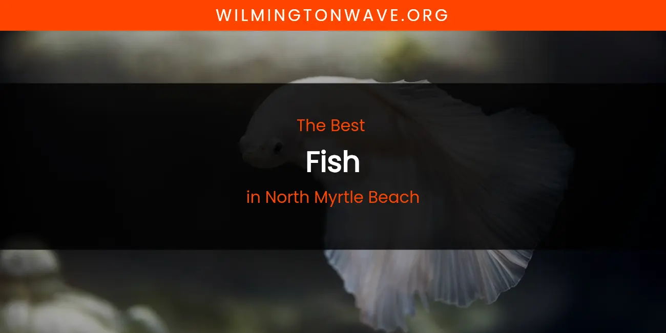North Myrtle Beach's Best Fish featured