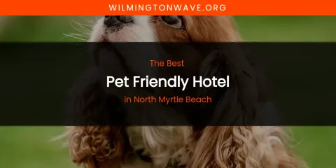 North Myrtle Beach's Best Pet Friendly Hotel